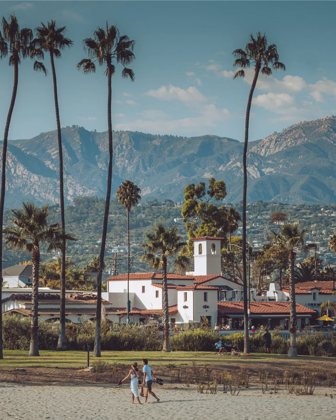 Santa Barbara California palm trees and mountains